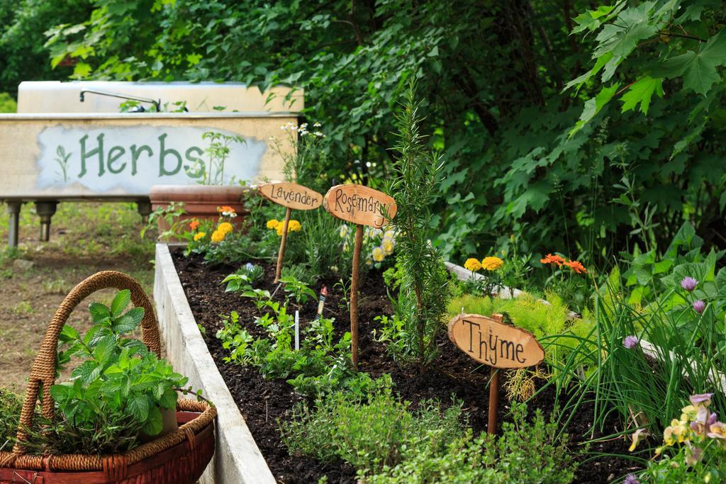 Squam Lake Inn Holderness Ngoại thất bức ảnh